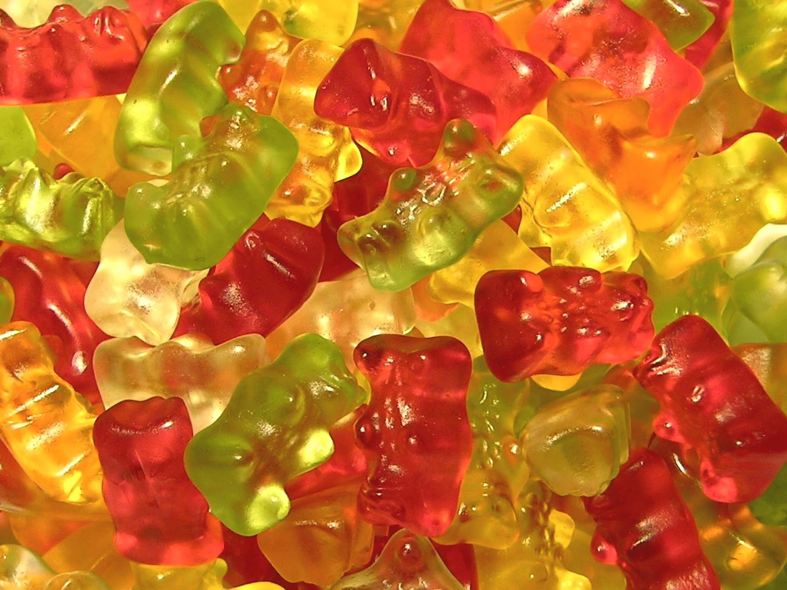 Celebrate Haribo! Harbor Wholesale